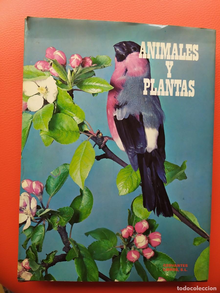 Libros de segunda mano: ANIMALES Y PLANTAS, 1977. LIBROS CERVANTES,PLASENCIA. - Foto 1
