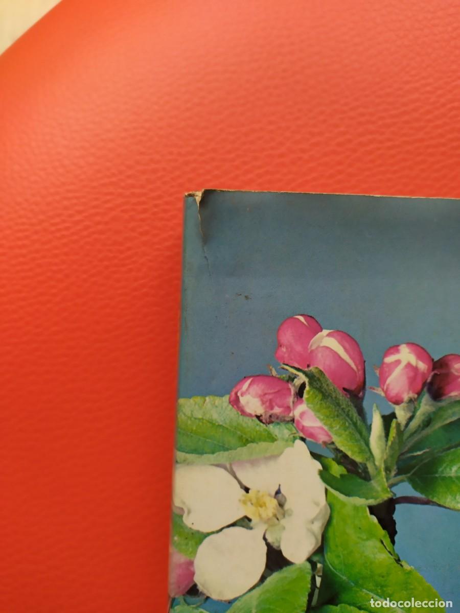 Libros de segunda mano: ANIMALES Y PLANTAS, 1977. LIBROS CERVANTES,PLASENCIA. - Foto 2