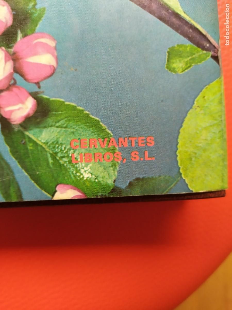 Libros de segunda mano: ANIMALES Y PLANTAS, 1977. LIBROS CERVANTES,PLASENCIA. - Foto 5