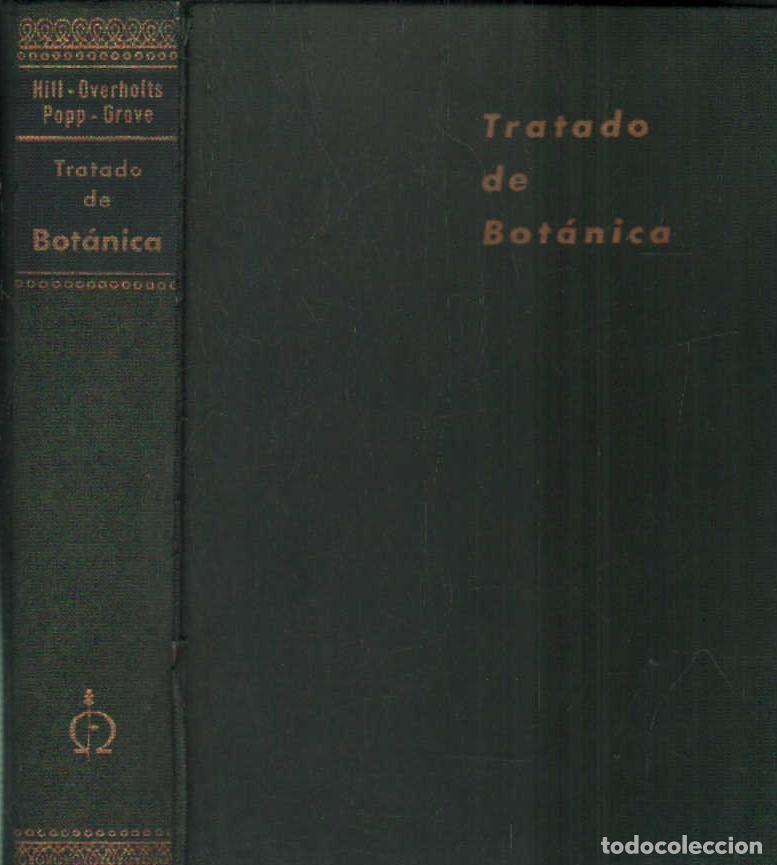Libros de segunda mano: TRATADO DE BOTANICA. A-BOT-134 - Foto 1