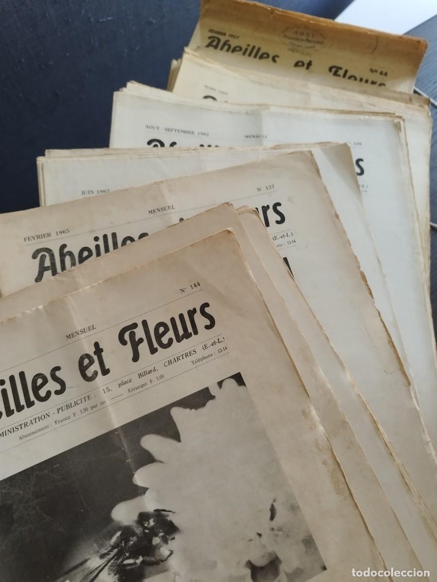 Gebrauchte B&uuml;cher: Revista Abeilles et fleurs. Abejas. Apicultura. 90 n&uacute;meros. Lote. Apicultura.