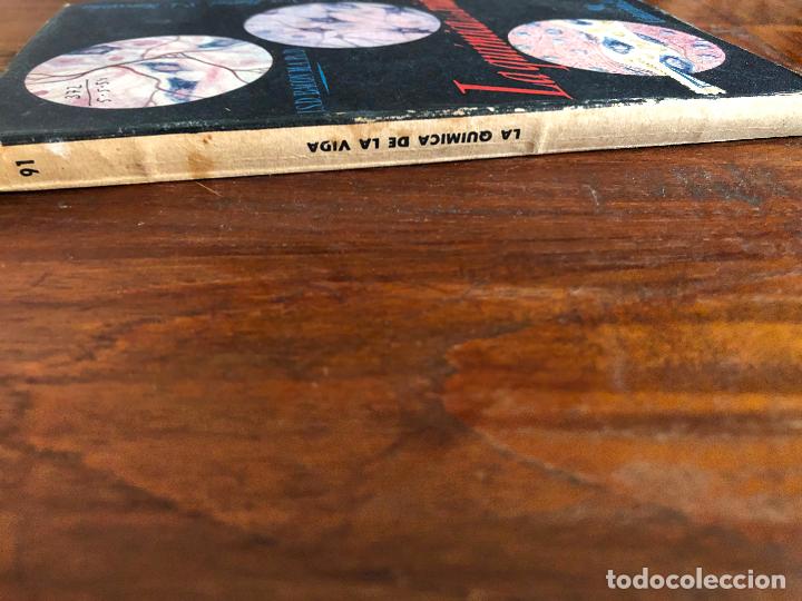 Libros de segunda mano de ciencias: LA QU&Iacute;MICA DE LA VIDA - J. S .D. BACON, INTRODUCCION A LA BIOQUIMICA - Foto 2