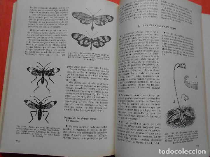 Libros de segunda mano: ELEMENTOS DE BIOLOGIA S. ALVARADO - Foto 2