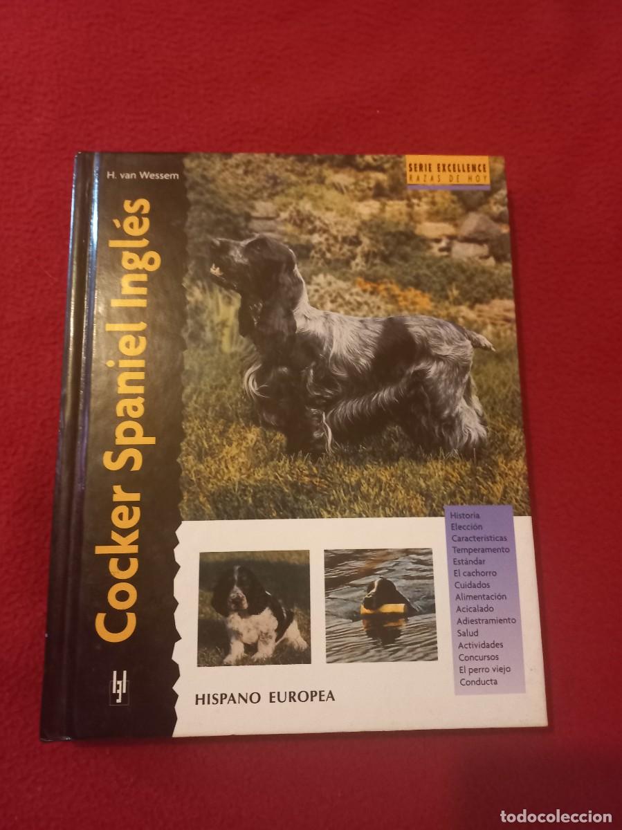 Libros de segunda mano: COCKER SPANIEL INGLES - H. VAN WESSEM - ED. HISPANO EUROPEA - CARTONE - Foto 1