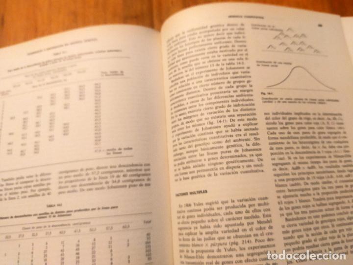 Libros de segunda mano: GENETICA STRICKBERGER - Foto 8