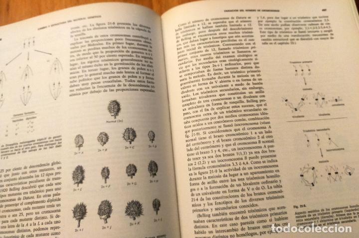Libros de segunda mano: GENETICA STRICKBERGER - Foto 9