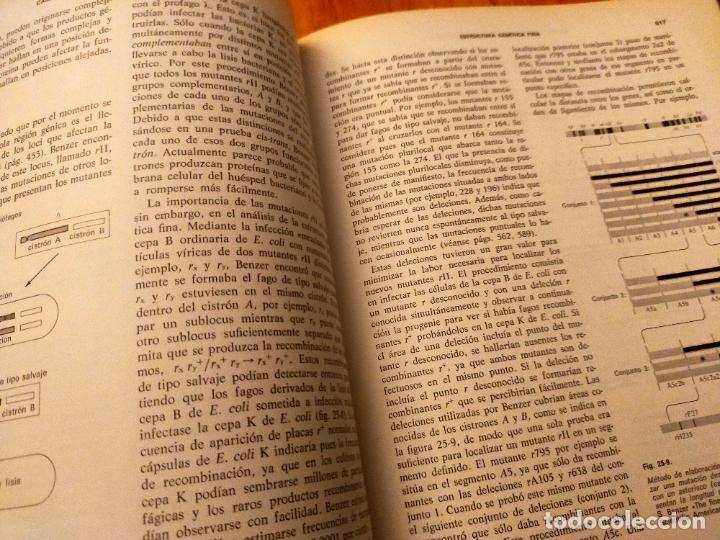 Libros de segunda mano: GENETICA STRICKBERGER - Foto 10