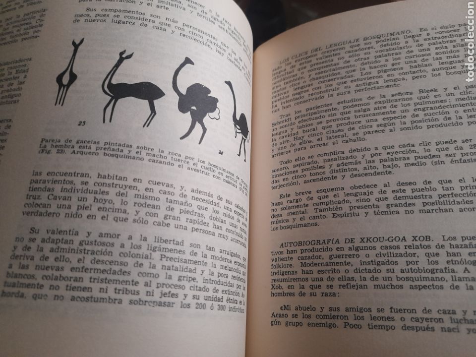 Libros de segunda mano: Las Razas Del mundo, de Augusto Panyela de 1966 - Foto 7