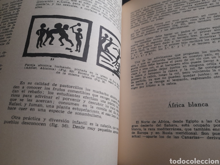 Libros de segunda mano: Las Razas Del mundo, de Augusto Panyela de 1966 - Foto 8
