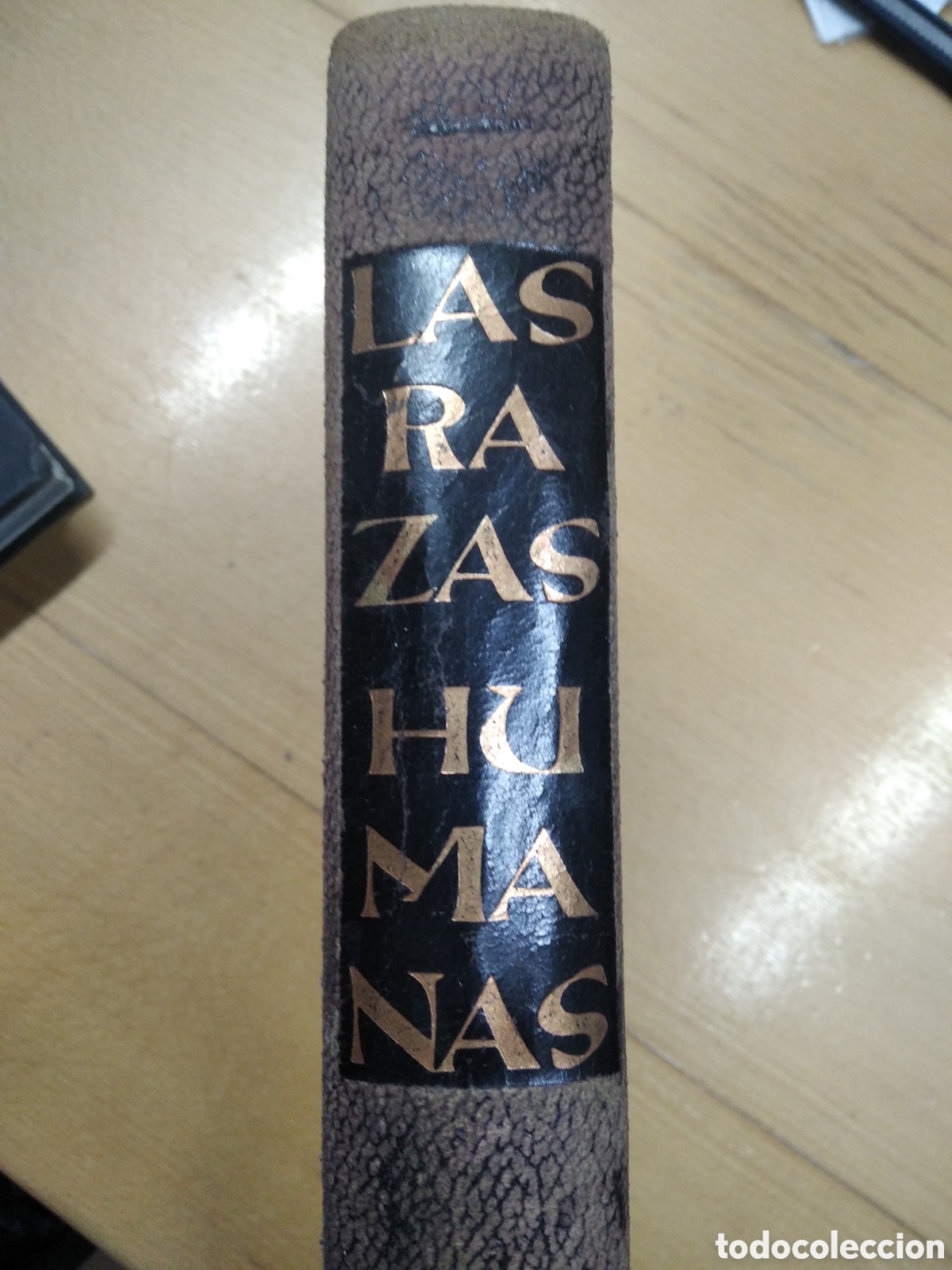 Libros de segunda mano: Las Razas Humanas Instituto Gallach - Foto 7