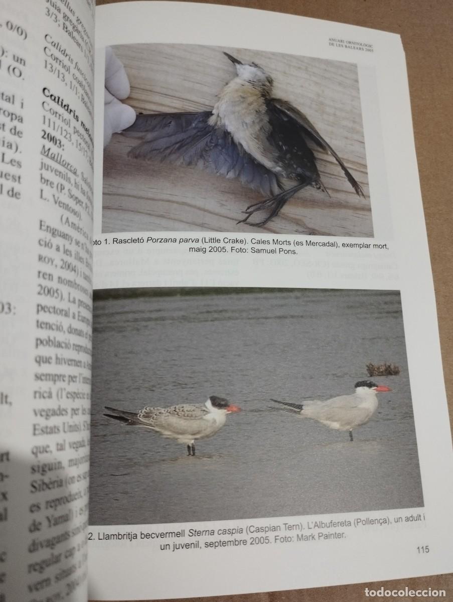 Libros de segunda mano: ANUARI ORNITOL&Ograve;GIC DE LES BALEARS, ANY 2005. VOLUM 20 - Foto 2