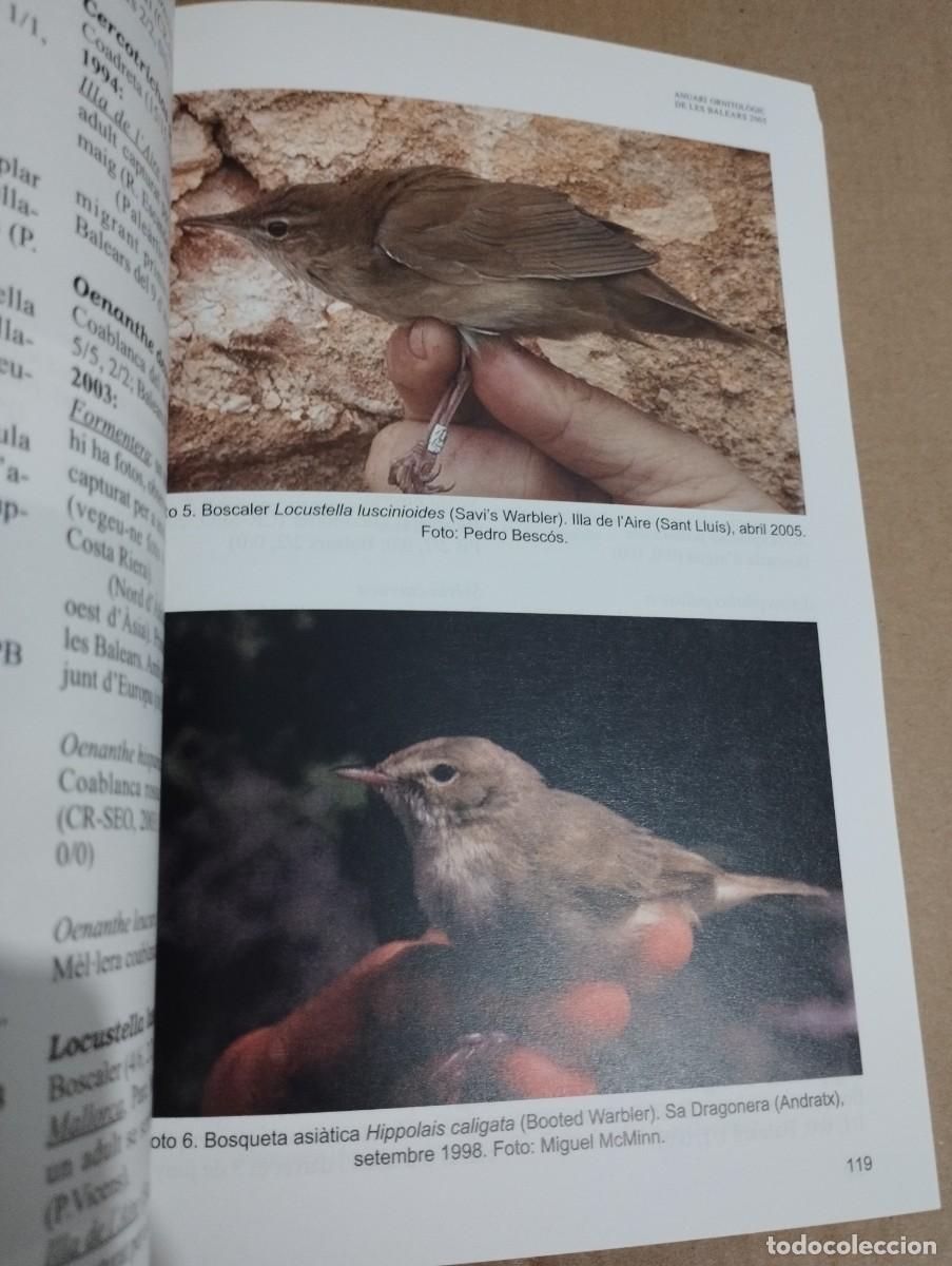 Libros de segunda mano: ANUARI ORNITOL&Ograve;GIC DE LES BALEARS, ANY 2005. VOLUM 20 - Foto 9
