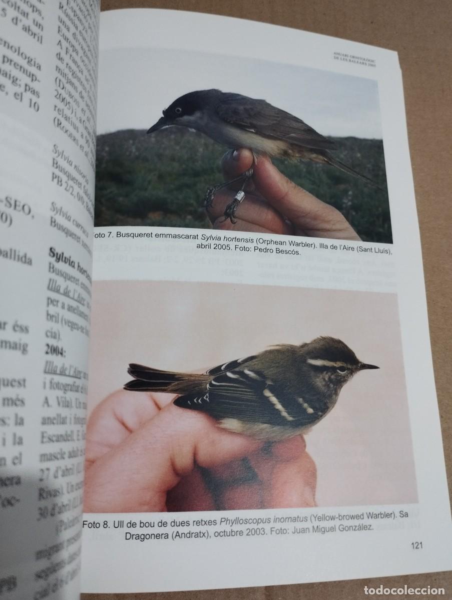 Libros de segunda mano: ANUARI ORNITOL&Ograve;GIC DE LES BALEARS, ANY 2005. VOLUM 20 - Foto 10