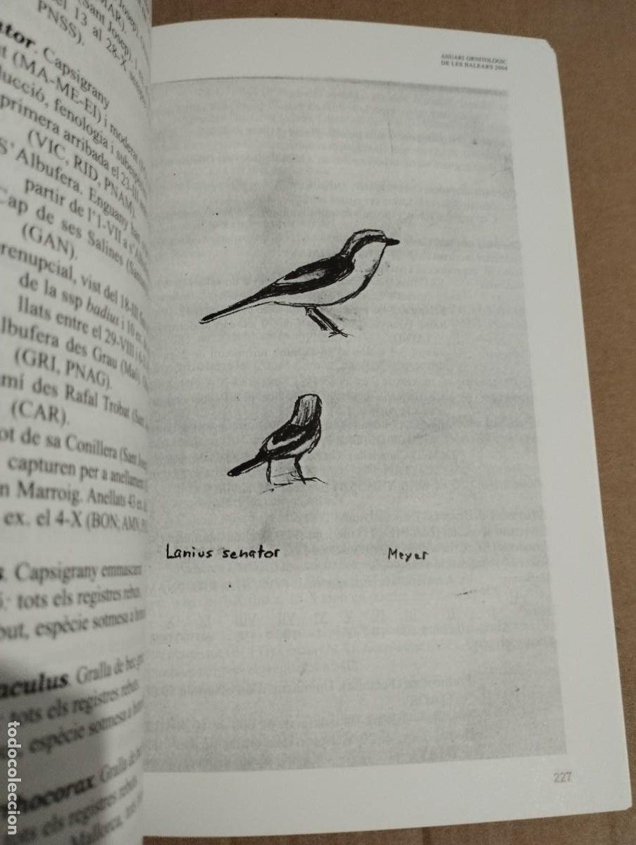 Libros de segunda mano: ANUARI ORNITOL&Ograve;GIC DE LES BALEARS, ANY 2004. VOLUM 19 - Foto 2