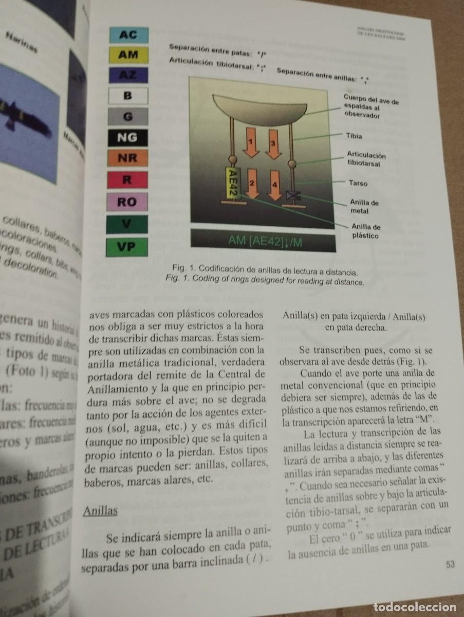 Libros de segunda mano: ANUARI ORNITOL&Ograve;GIC DE LES BALEARS, ANY 2004. VOLUM 19 - Foto 5