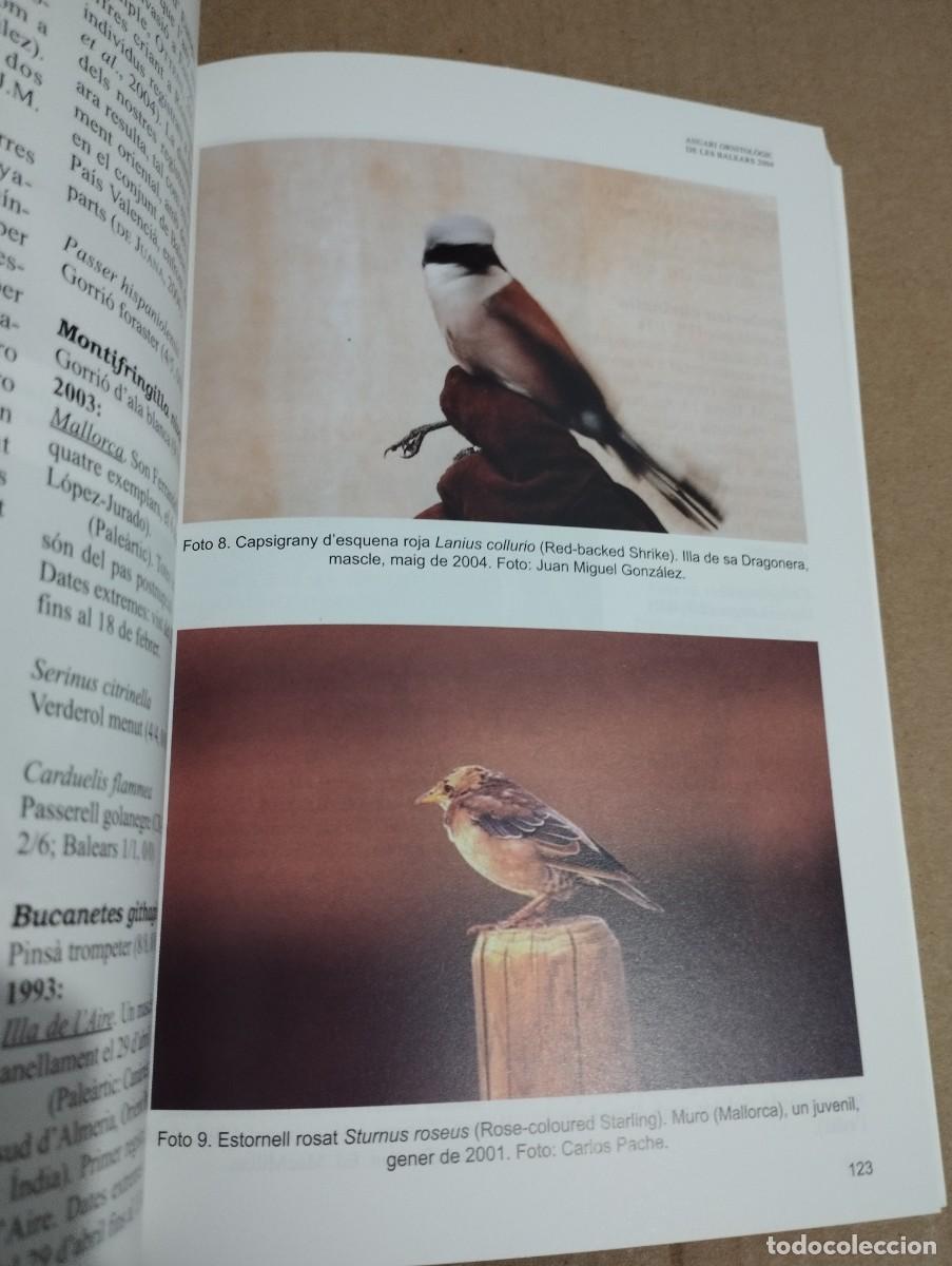 Libros de segunda mano: ANUARI ORNITOL&Ograve;GIC DE LES BALEARS, ANY 2004. VOLUM 19 - Foto 6