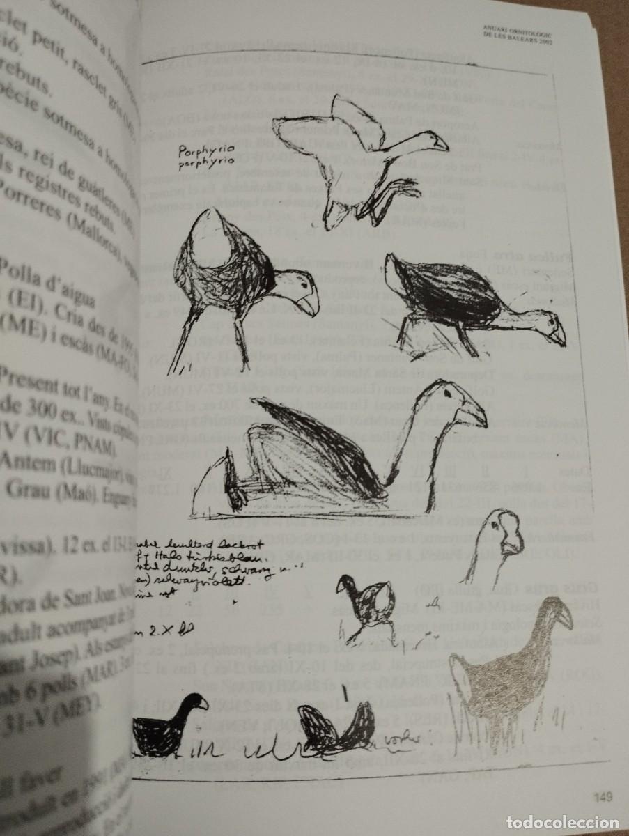 Libros de segunda mano: ANUARI ORNITOL&Ograve;GIC DE LES BALEARS, ANY 2002. VOLUM 17 - Foto 2