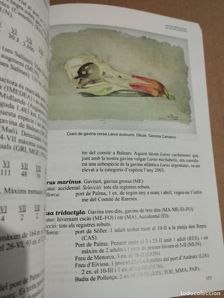 Libros de segunda mano: ANUARI ORNITOL&Ograve;GIC DE LES BALEARS, ANY 2009. VOLUM 24 - Foto 2
