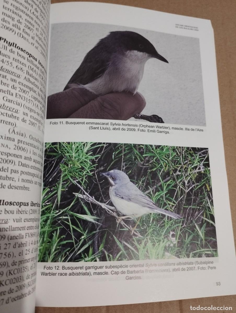 Libros de segunda mano: ANUARI ORNITOL&Ograve;GIC DE LES BALEARS, ANY 2009. VOLUM 24 - Foto 3
