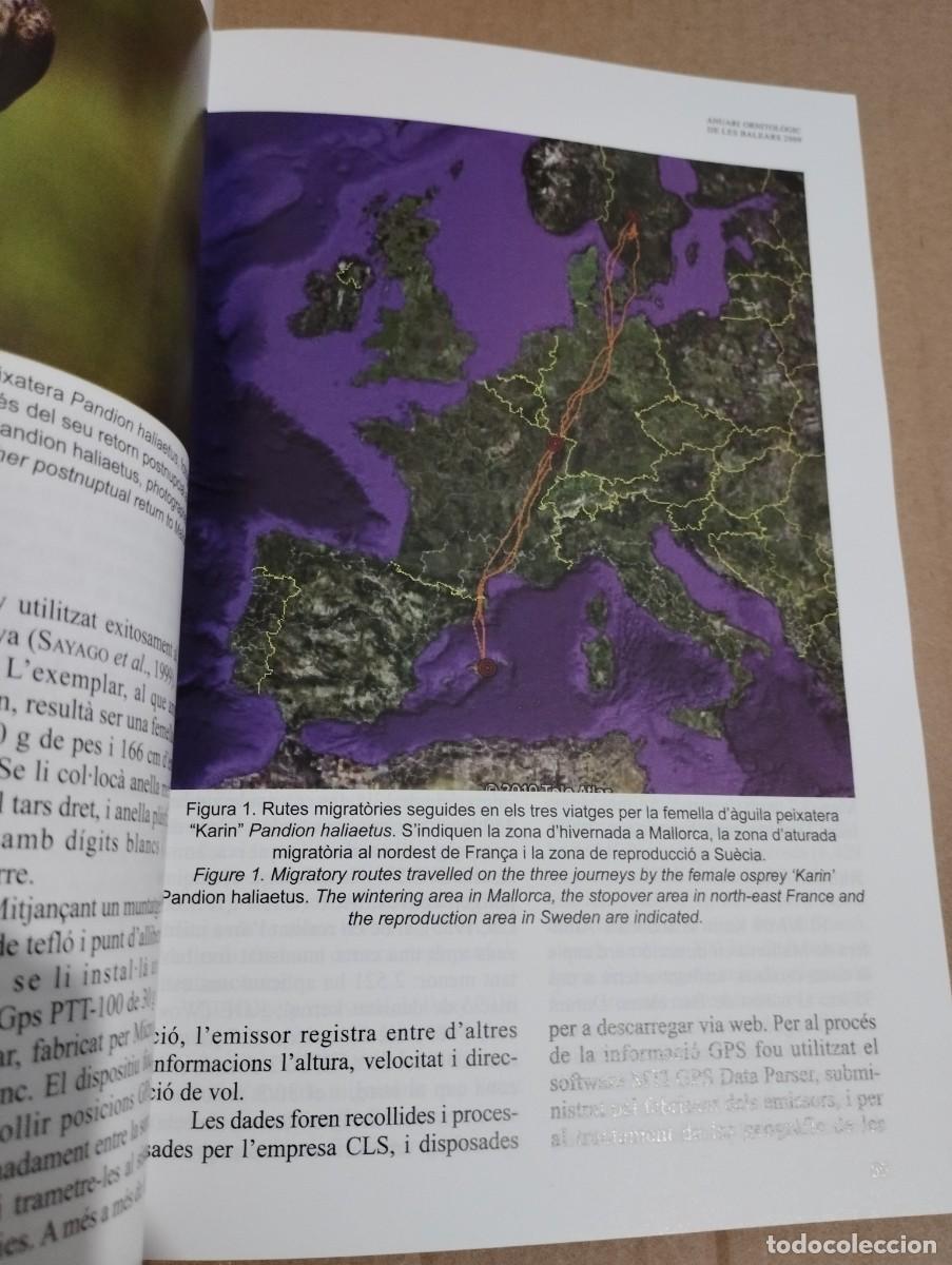Libros de segunda mano: ANUARI ORNITOL&Ograve;GIC DE LES BALEARS, ANY 2009. VOLUM 24 - Foto 6
