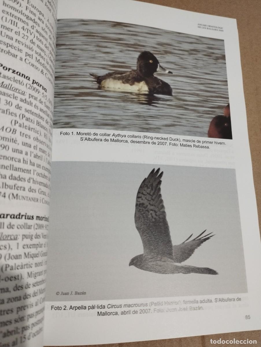 Libros de segunda mano: ANUARI ORNITOL&Ograve;GIC DE LES BALEARS, ANY 2009. VOLUM 24 - Foto 8