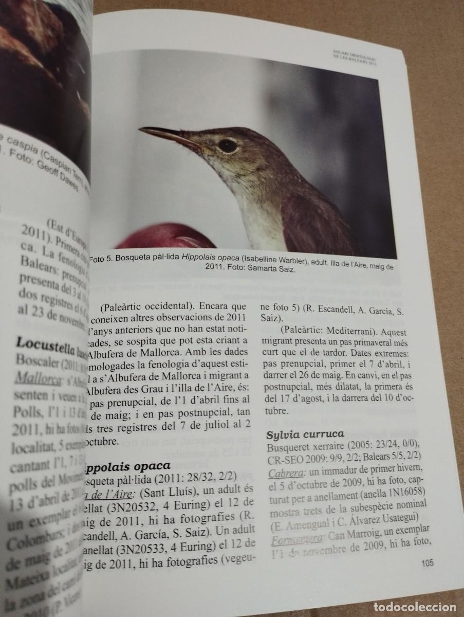 Libros de segunda mano: ANUARI ORNITOL&Ograve;GIC DE LES BALEARS, ANY 2011. VOLUM 26 - Foto 2
