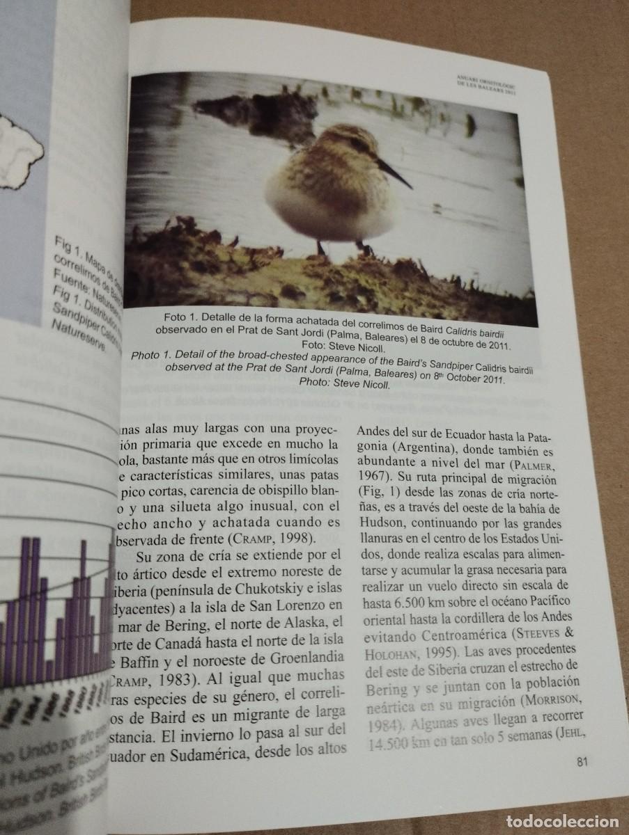 Libros de segunda mano: ANUARI ORNITOL&Ograve;GIC DE LES BALEARS, ANY 2011. VOLUM 26 - Foto 5