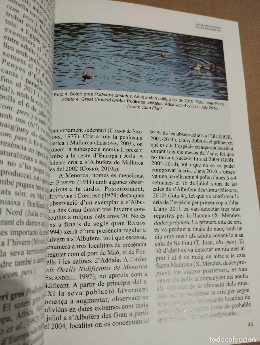 Libros de segunda mano: ANUARI ORNITOL&Ograve;GIC DE LES BALEARS, ANY 2011. VOLUM 26 - Foto 7
