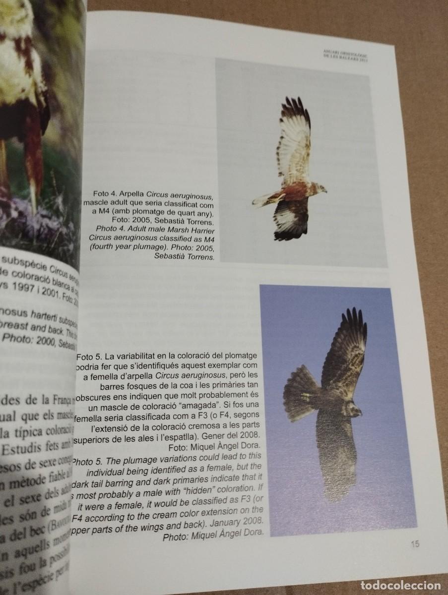 Libros de segunda mano: ANUARI ORNITOL&Ograve;GIC DE LES BALEARS, ANY 2011. VOLUM 26 - Foto 9