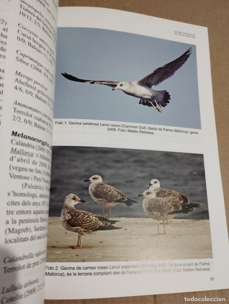 Libros de segunda mano: ANUARI ORNITOL&Ograve;GIC DE LES BALEARS, ANY 2008. VOLUM 23 - Foto 4
