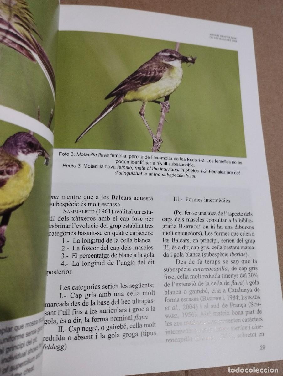 Libros de segunda mano: ANUARI ORNITOL&Ograve;GIC DE LES BALEARS, ANY 2008. VOLUM 23 - Foto 7