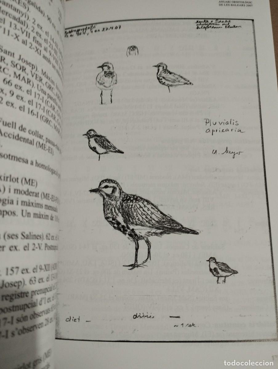 Libros de segunda mano: ANUARI ORNITOL&Ograve;GIC DE LES BALEARS, ANY 2007. VOLUM 22 - Foto 2