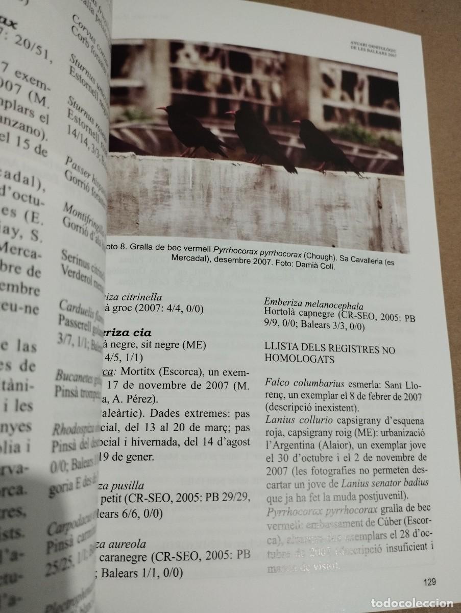 Libros de segunda mano: ANUARI ORNITOL&Ograve;GIC DE LES BALEARS, ANY 2007. VOLUM 22 - Foto 3