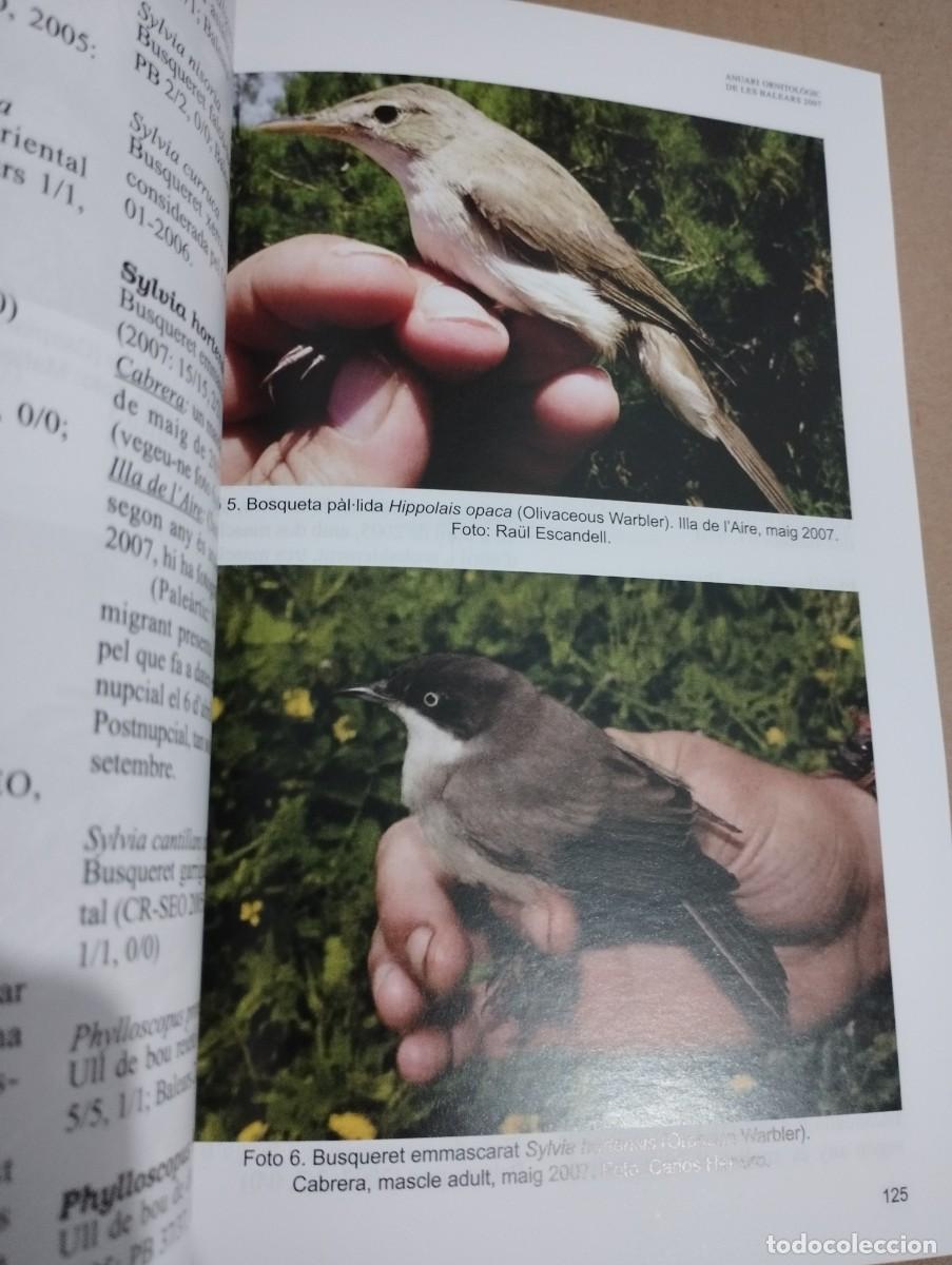 Libros de segunda mano: ANUARI ORNITOL&Ograve;GIC DE LES BALEARS, ANY 2007. VOLUM 22 - Foto 4