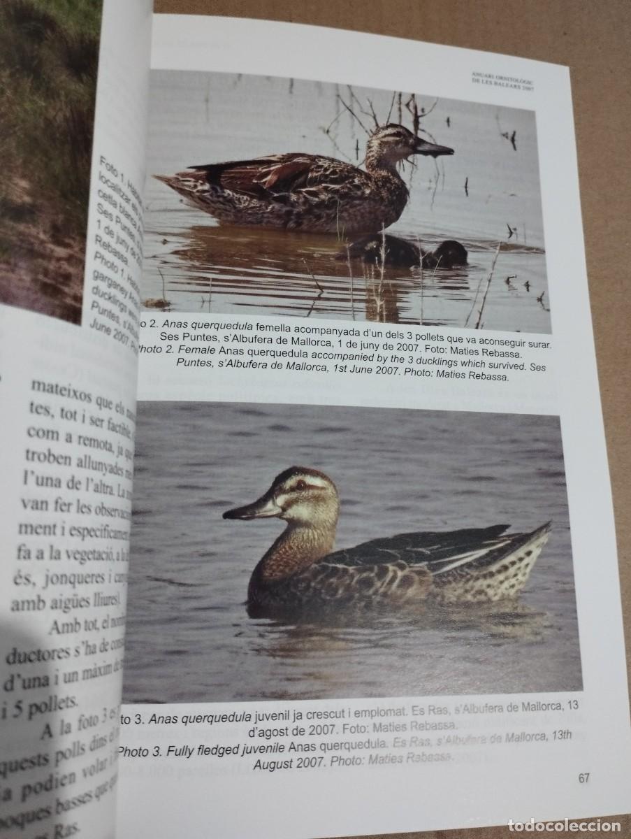 Libros de segunda mano: ANUARI ORNITOL&Ograve;GIC DE LES BALEARS, ANY 2007. VOLUM 22 - Foto 7