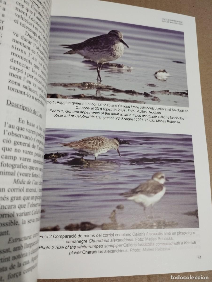 Libros de segunda mano: ANUARI ORNITOL&Ograve;GIC DE LES BALEARS, ANY 2007. VOLUM 22 - Foto 8