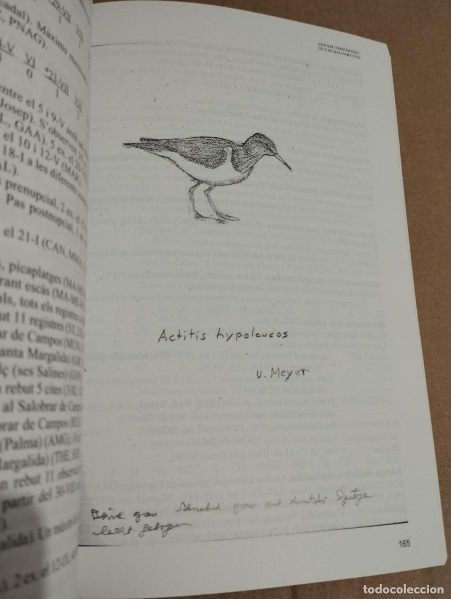 Libros de segunda mano: ANUARI ORNITOL&Ograve;GIC DE LES BALEARS, ANY 2010. VOLUM 25 - Foto 2