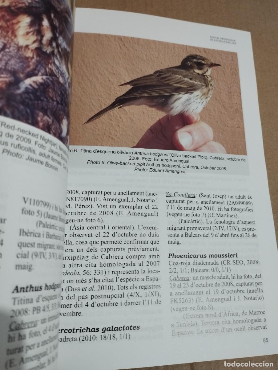 Libros de segunda mano: ANUARI ORNITOL&Ograve;GIC DE LES BALEARS, ANY 2010. VOLUM 25 - Foto 3