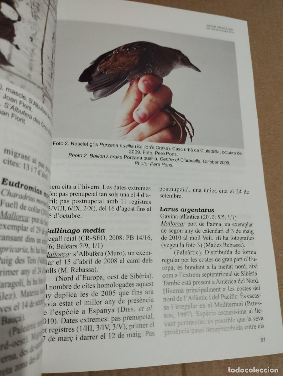 Libros de segunda mano: ANUARI ORNITOL&Ograve;GIC DE LES BALEARS, ANY 2010. VOLUM 25 - Foto 4