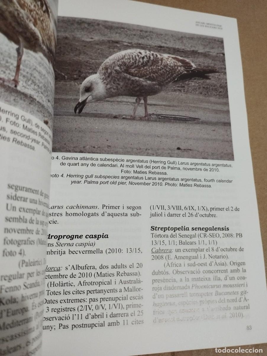 Libros de segunda mano: ANUARI ORNITOL&Ograve;GIC DE LES BALEARS, ANY 2010. VOLUM 25 - Foto 7