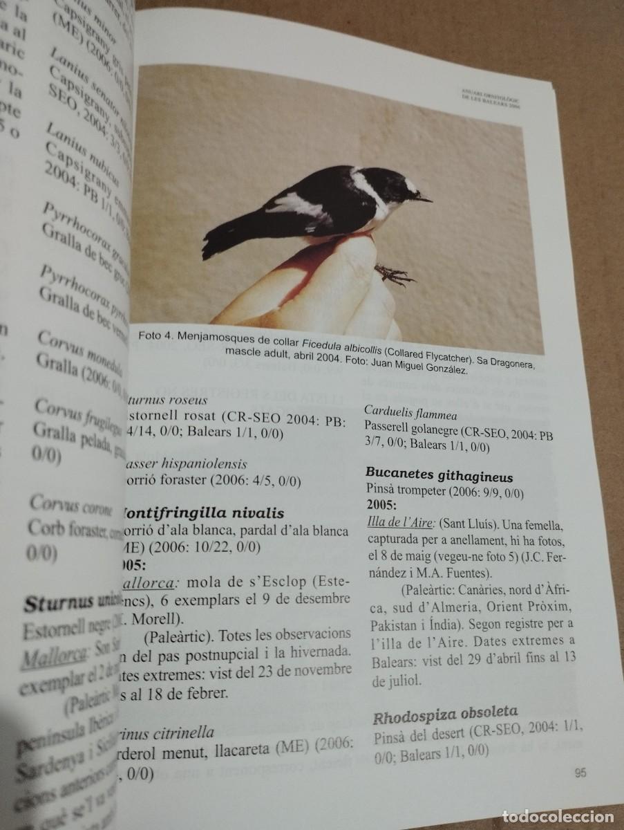 Libros de segunda mano: ANUARI ORNITOL&Ograve;GIC DE LES BALEARS, ANY 2006. VOLUM 21 - Foto 5