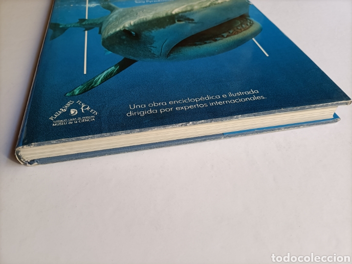 Libros de segunda mano: Tiburones .John D. Stevens . Materia viva 3 - Foto 2
