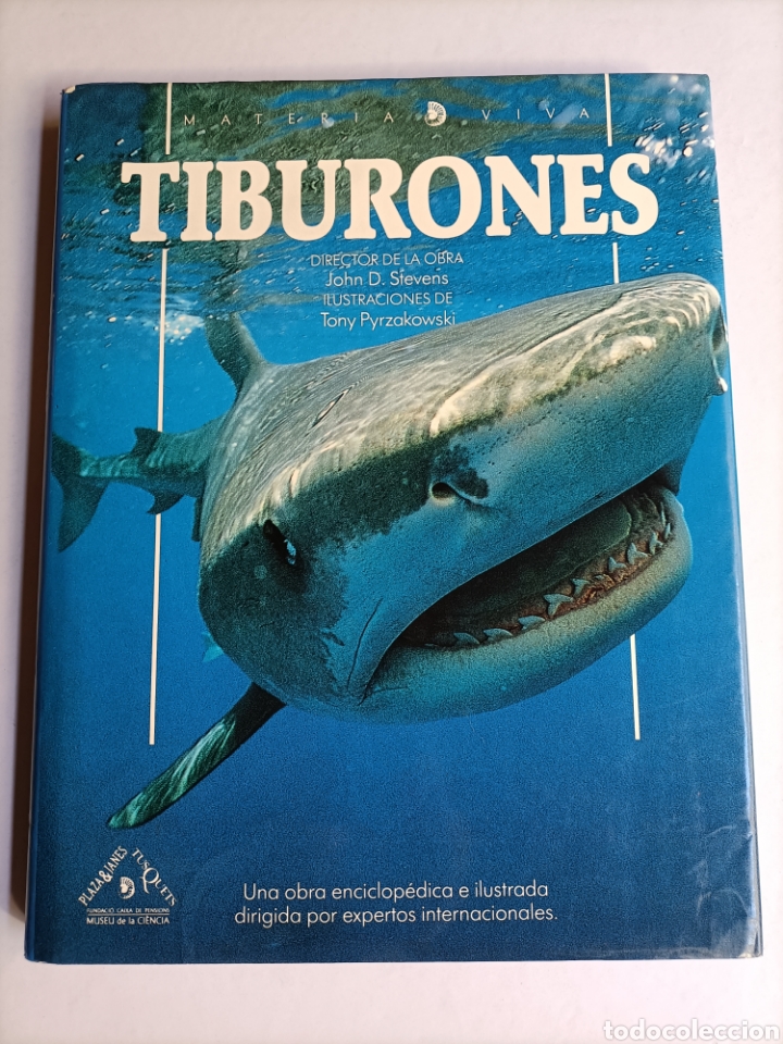 Libros de segunda mano: Tiburones .John D. Stevens . Materia viva 3 - Foto 4