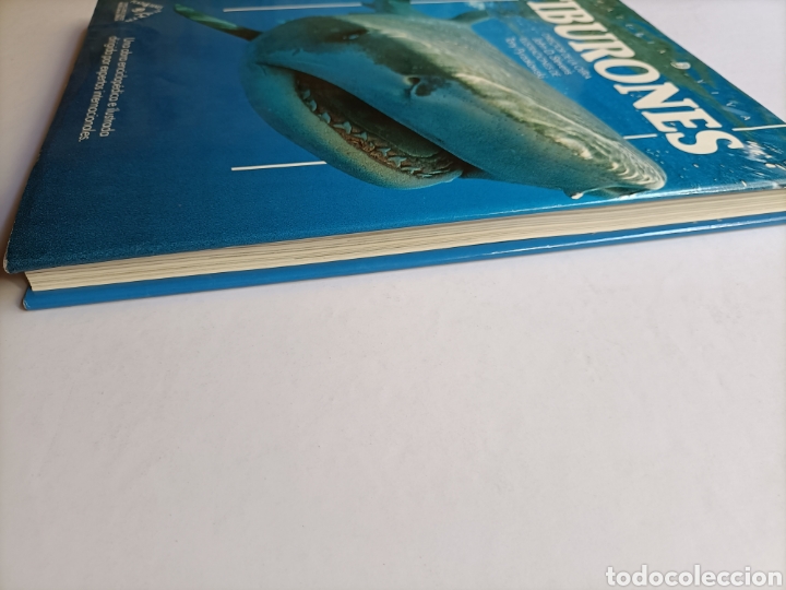 Libros de segunda mano: Tiburones .John D. Stevens . Materia viva 3 - Foto 6
