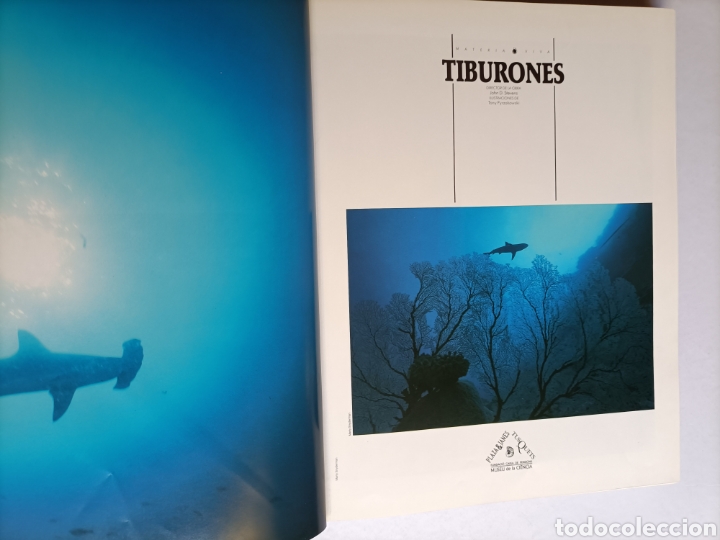Libros de segunda mano: Tiburones .John D. Stevens . Materia viva 3 - Foto 10