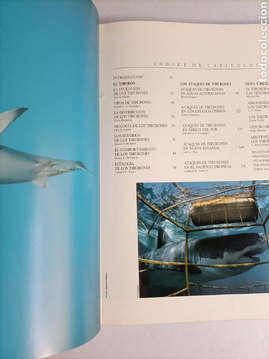 Libros de segunda mano: Tiburones .John D. Stevens . Materia viva 3 - Foto 12