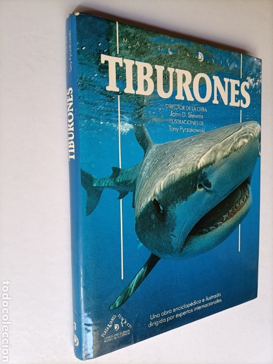 Libros de segunda mano: Tiburones .John D. Stevens . Materia viva 3 - Foto 1