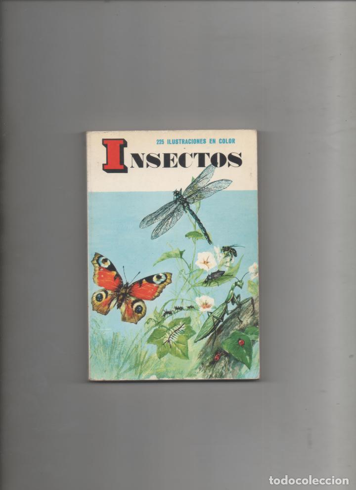 Libros de segunda mano: INSECTOS . 225 ILUSTRACIONES A COLOR -C2 - Foto 1
