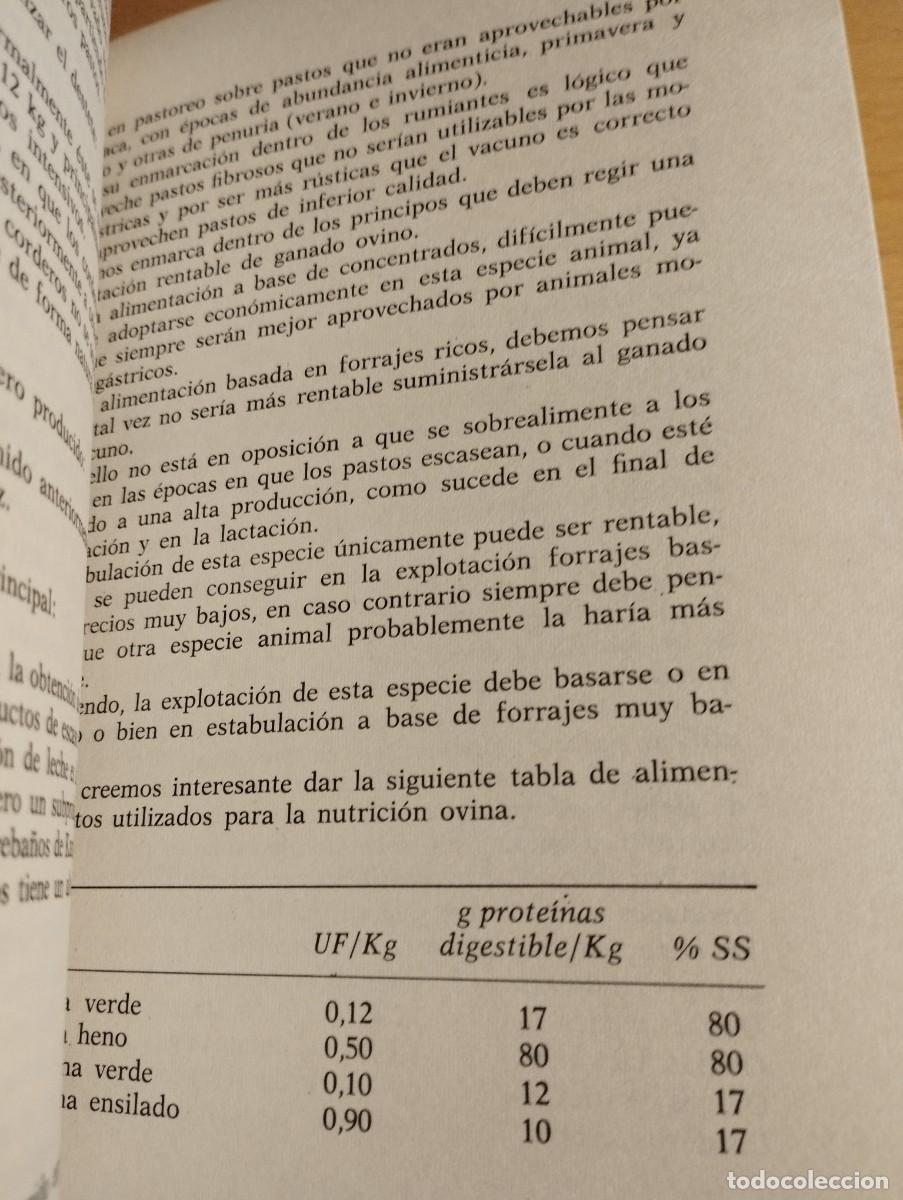 Libros de segunda mano: GANADER&Iacute;A MODERNA (L. M. DEL BO) - Foto 5