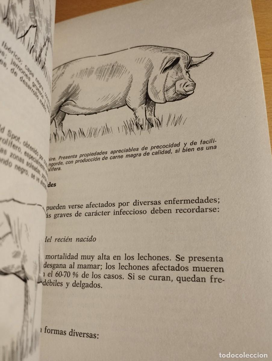 Libros de segunda mano: GANADER&Iacute;A MODERNA (L. M. DEL BO) - Foto 10